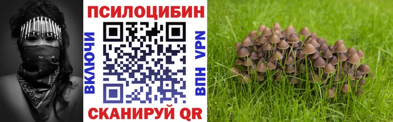 Псилоцибиновые грибы прущие грибы  даркнет сайт  Елец 